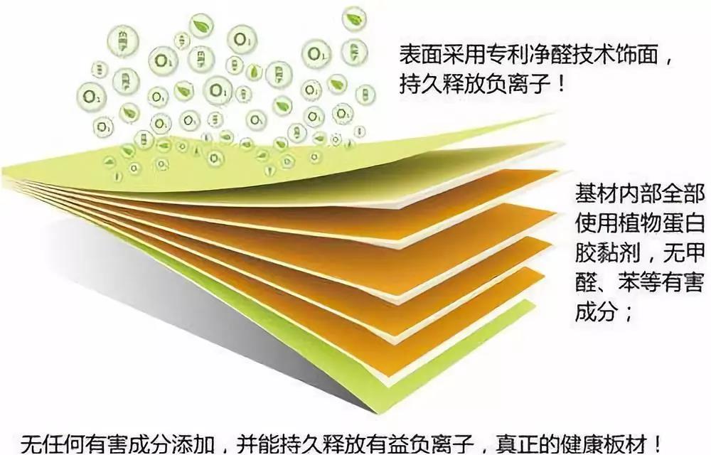 濃情端午,粽葉飄香 環(huán)保生活，健康你我