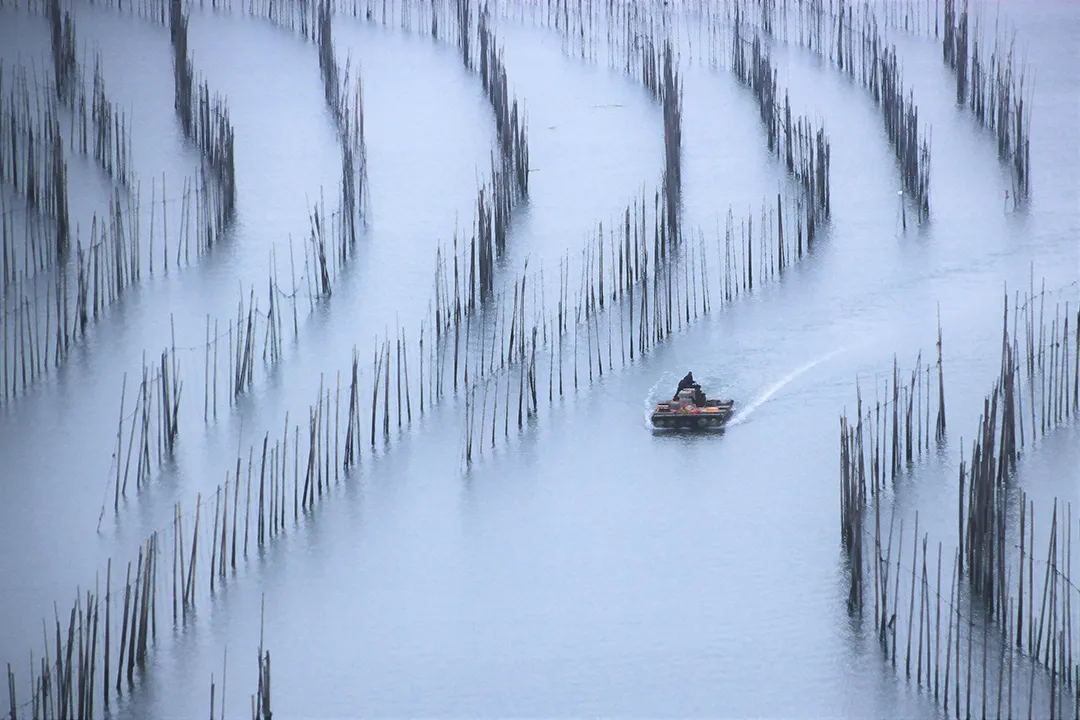 冬至|建始也，冬來(lái)也|
