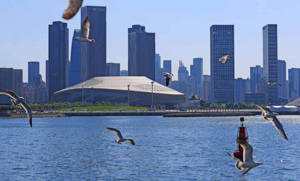 擲地有聲，重拳出擊！寰宇原木SPC海洋扳，高端裝飾的不二之選。